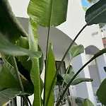 Boutique Apartment 365 - Marbella