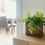 Increible Bajo Con Jardin Y Piscina - Puerto Banus