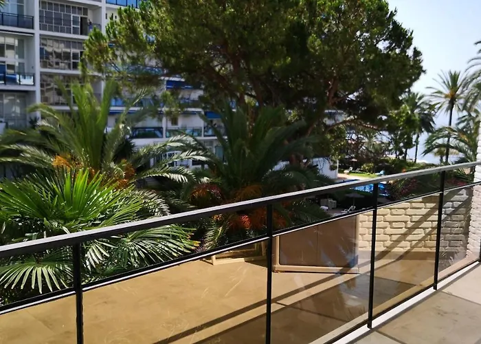 Skol 320C By Completely Marbella