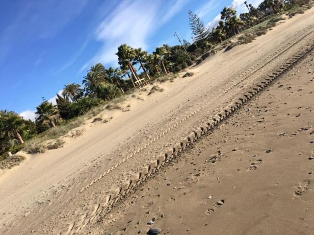 Apartment Beachfront La Jacaranda Marbella