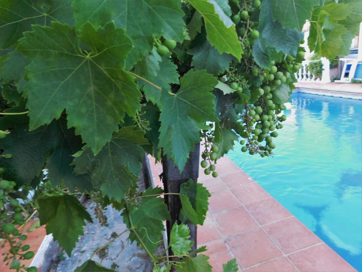 Bungalow Marbella Apartment Marbella
