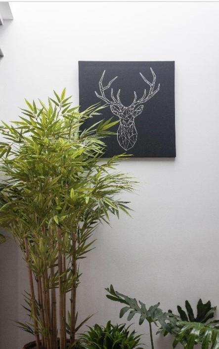 Apartamento In Old Town Marbella