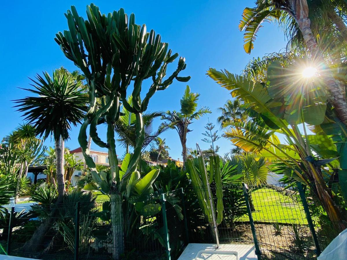 Studio-near The Beach, Bbq And Seawater Pool Apartment Marbella