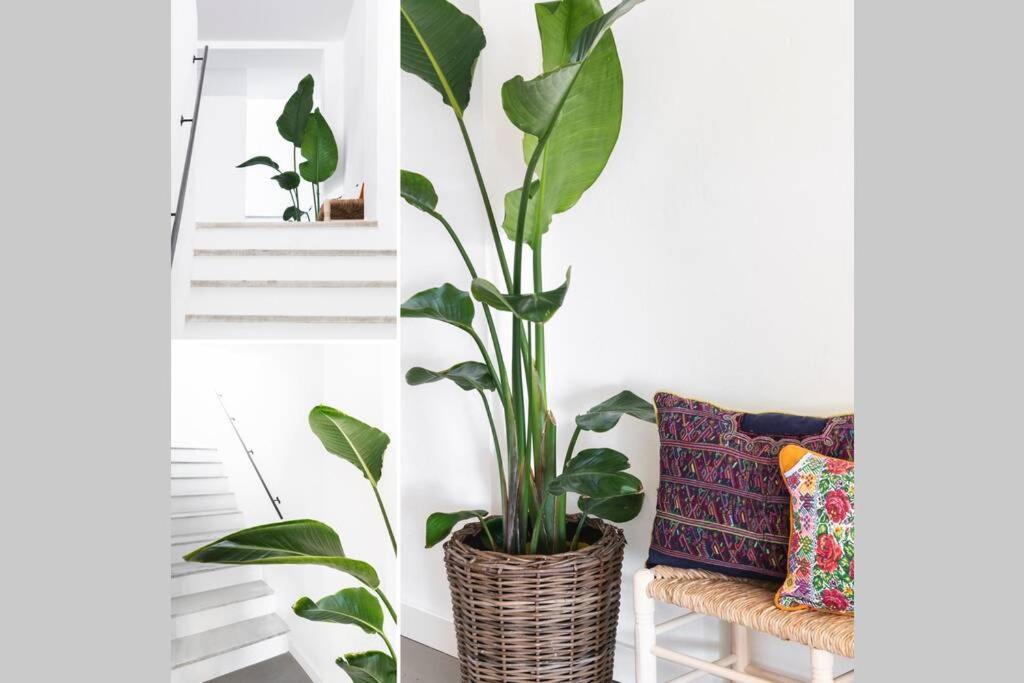 Flores De Marta Appartement