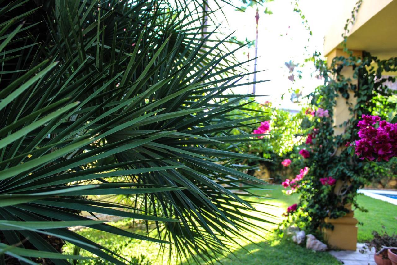 Luxury Villa Marbella *