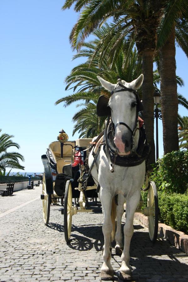 Beachfront Puerto Banus *