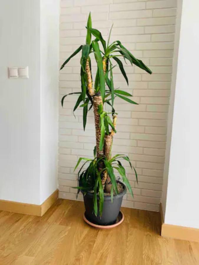 Puerto Banus Appartement Marbella