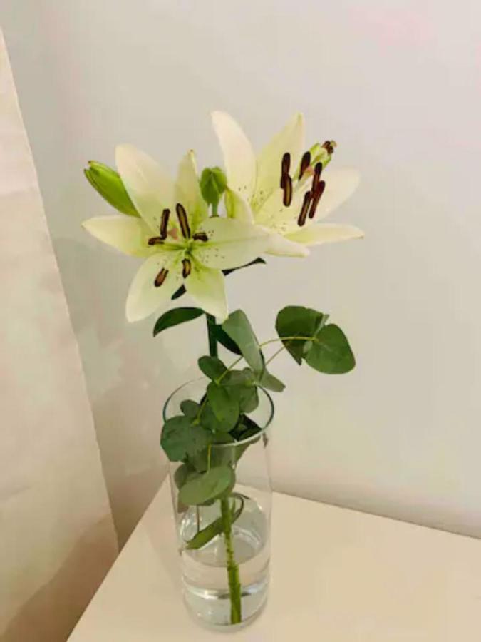 Puerto Banus Appartement Marbella