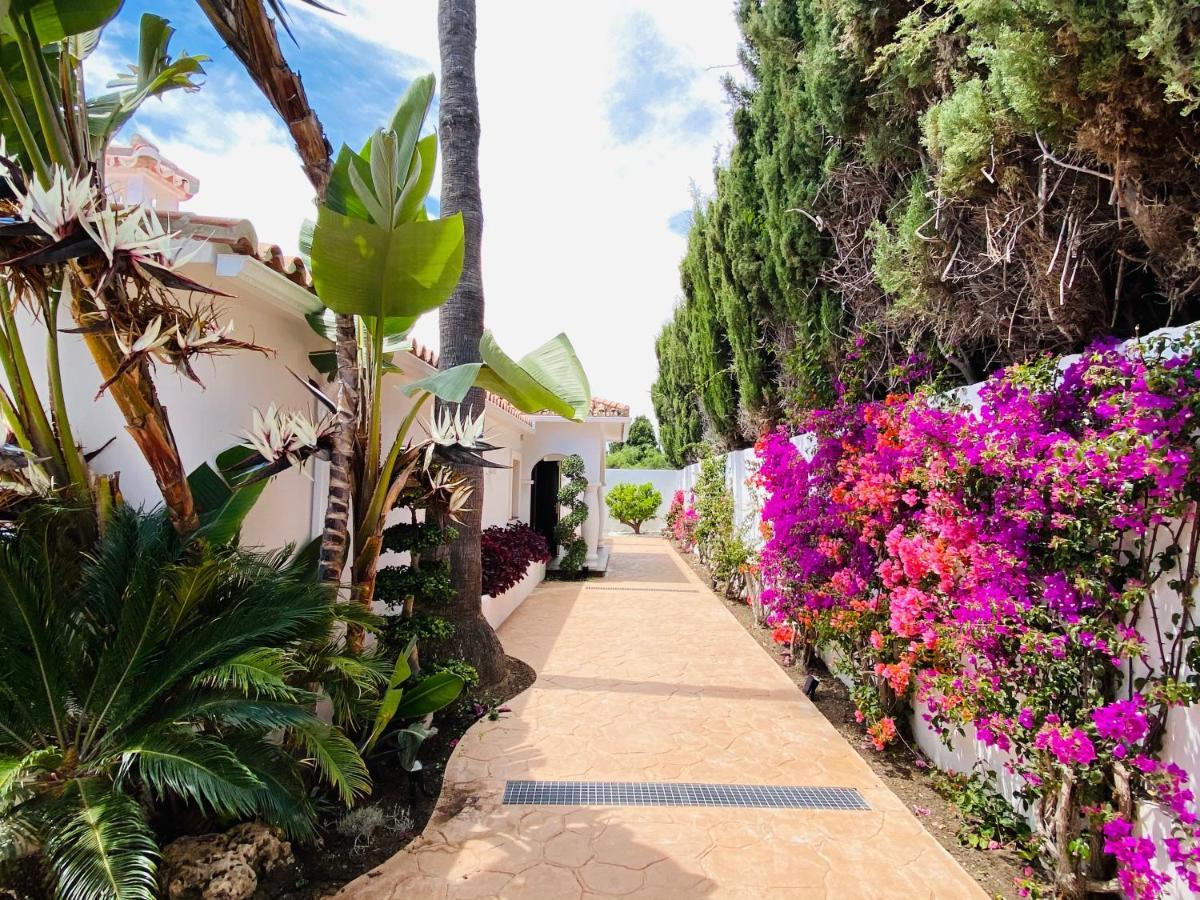 Apartment Apartments With Tropical Garden And Sea Water Pool