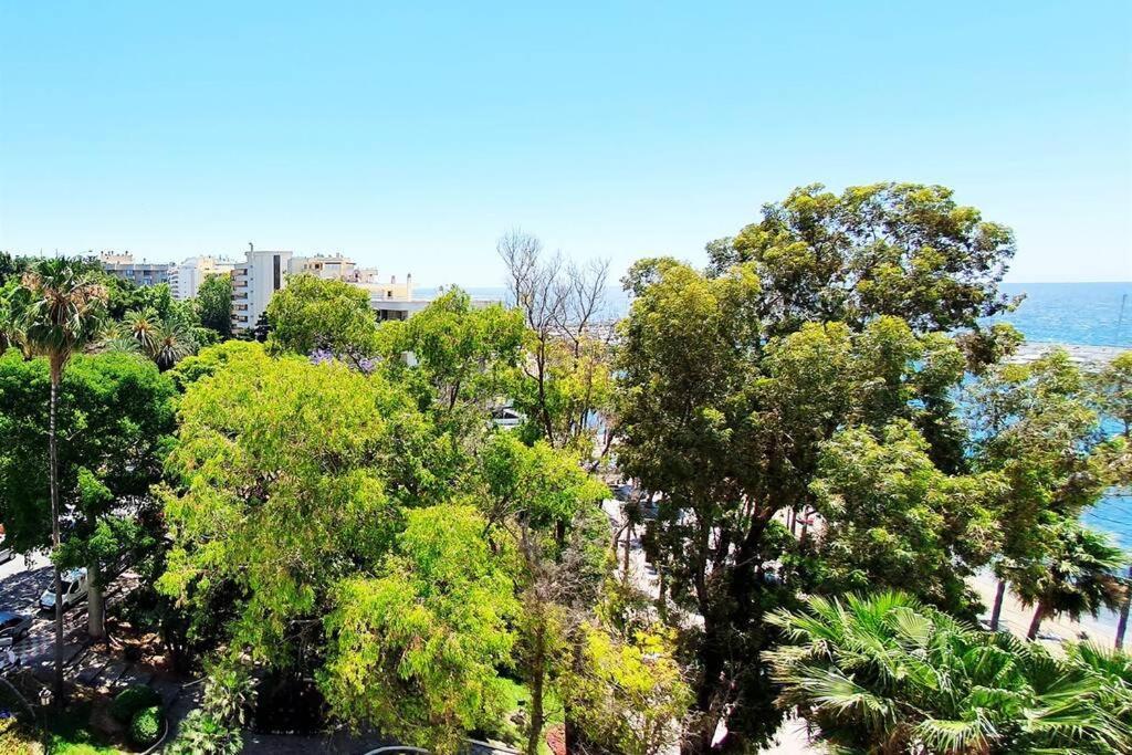 Apartment Skol 521. Fantastic On The Beachfront For Rental.