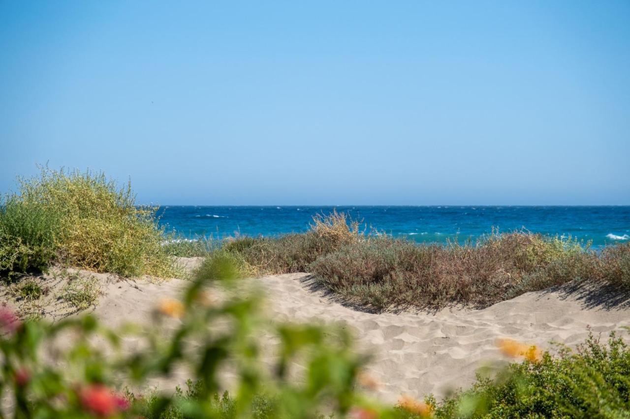 Queen - Romana Playa Apartment