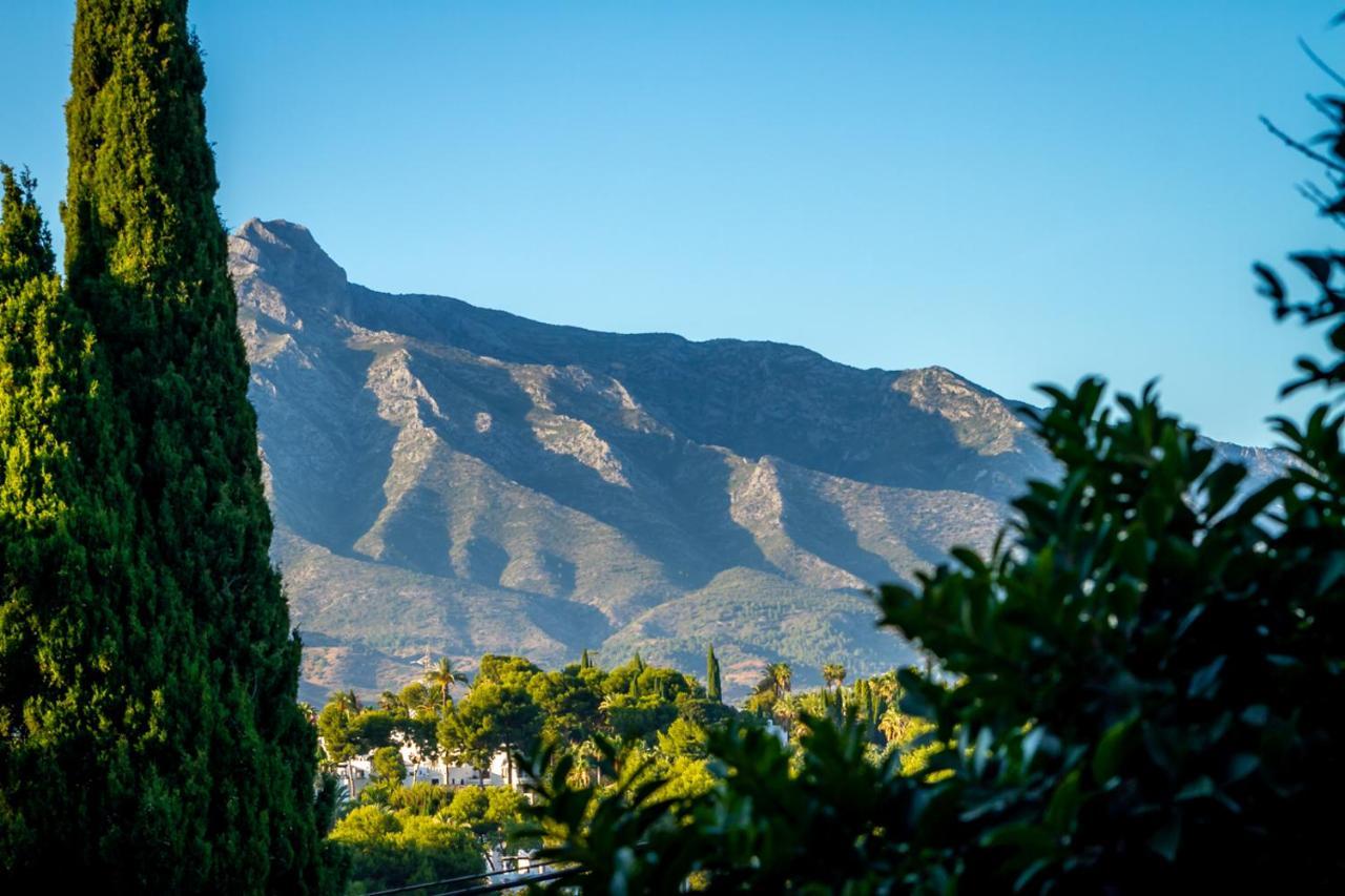 Banus - Ceibo Centro Plaza Banus Apartment Marbella