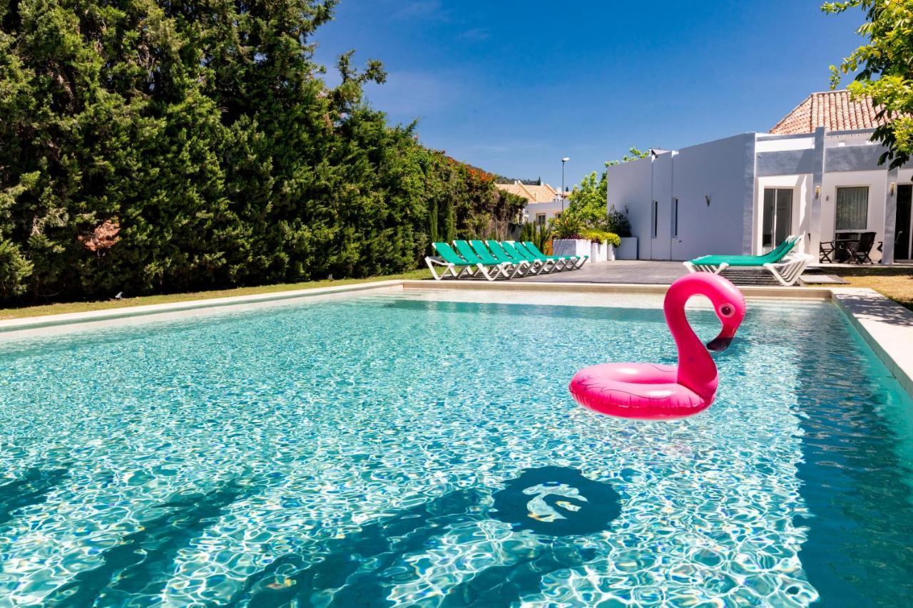 Flamingos