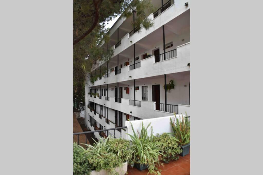 Estudio Nueva Andalucia *