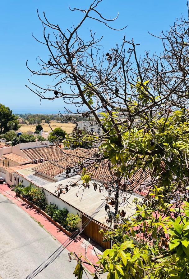 Estudio Nueva Andalucia