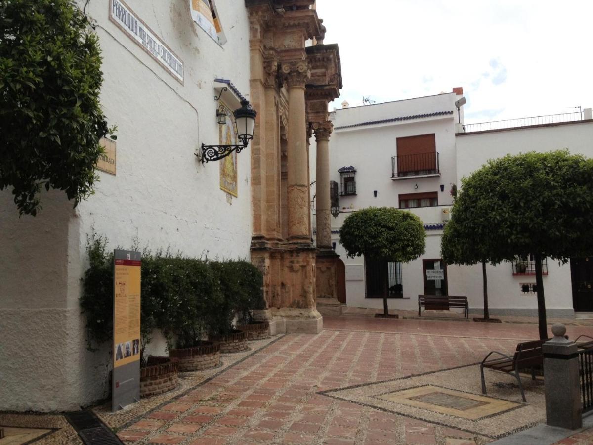 Alamo 6 Apartment Marbella