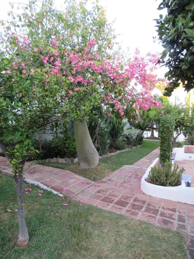 Apartamento Bien Situado En Marbella