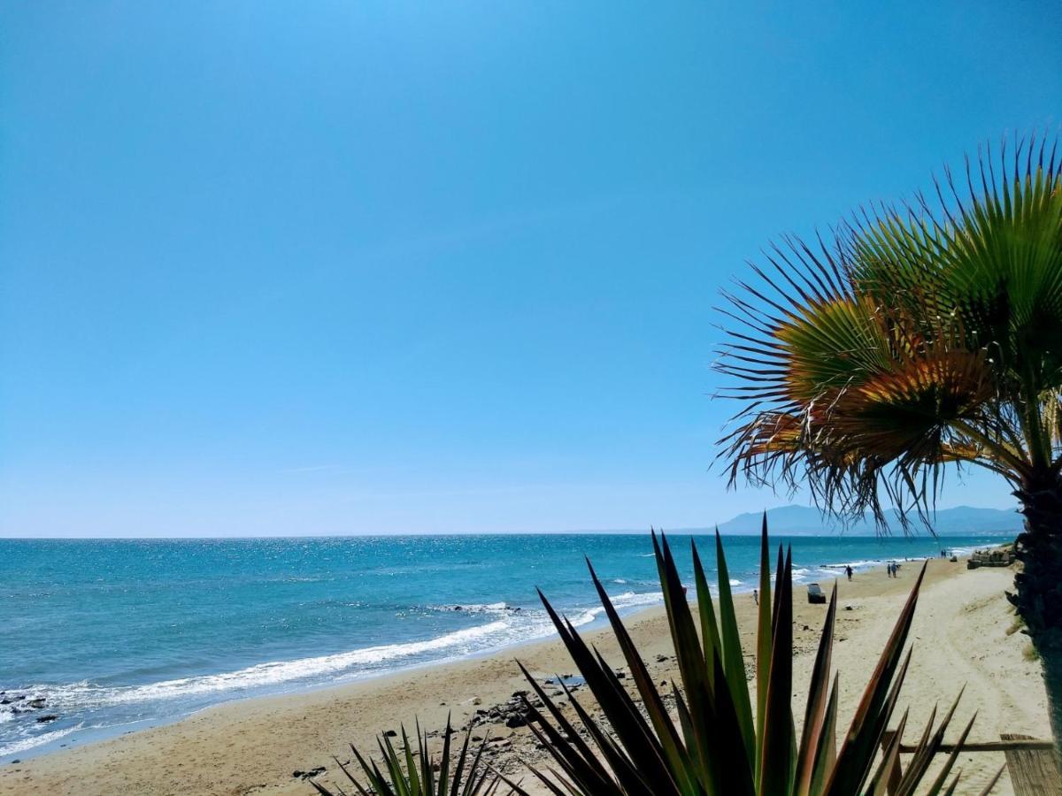 Estudio Con Piscina Junto A La Playa De Canas Appartement *