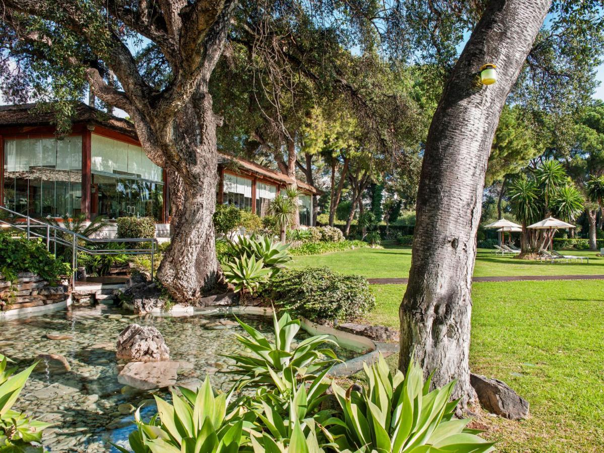 Don Pepe Gran Melia