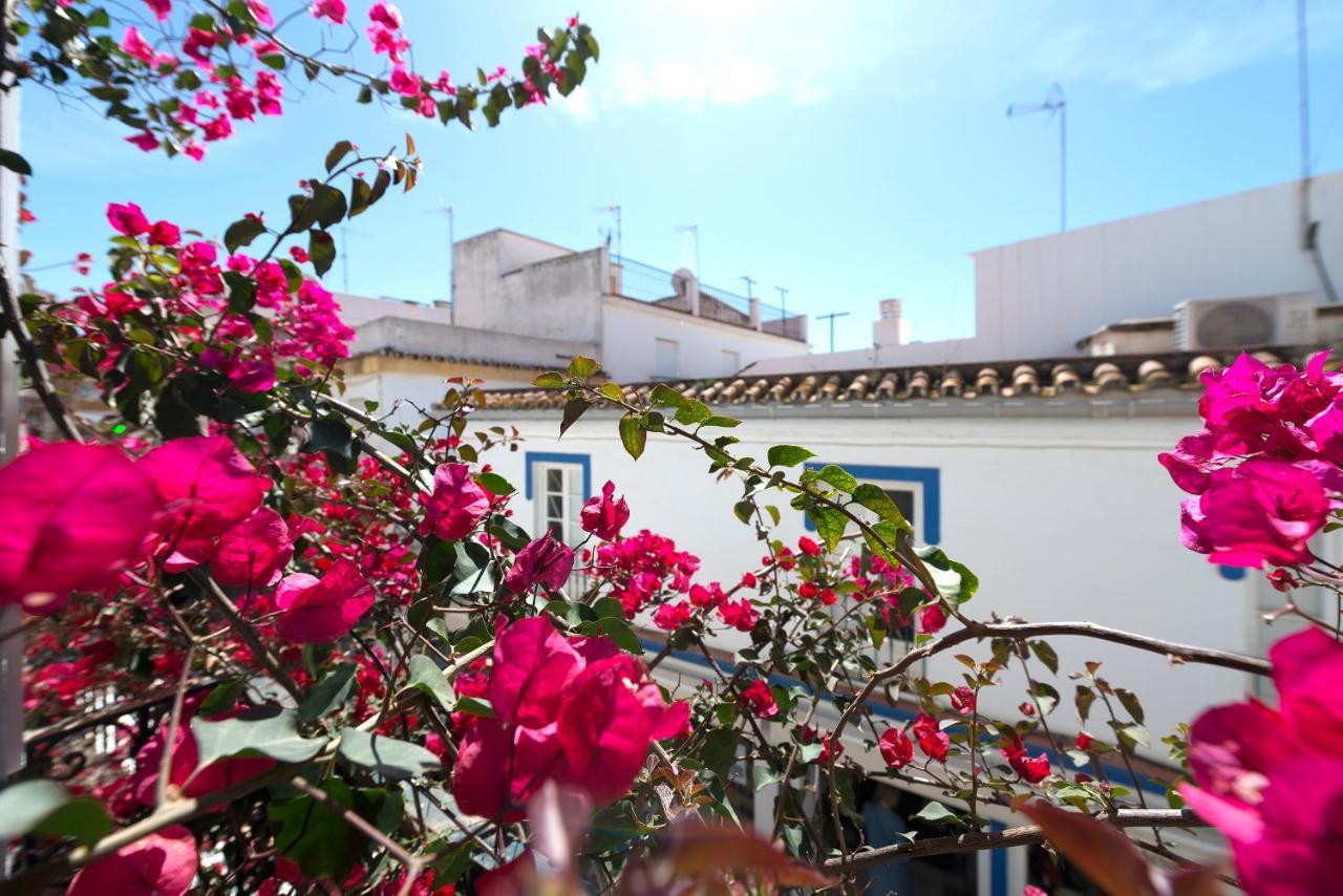 Acogedor Apartamento En El Centro De Marbella