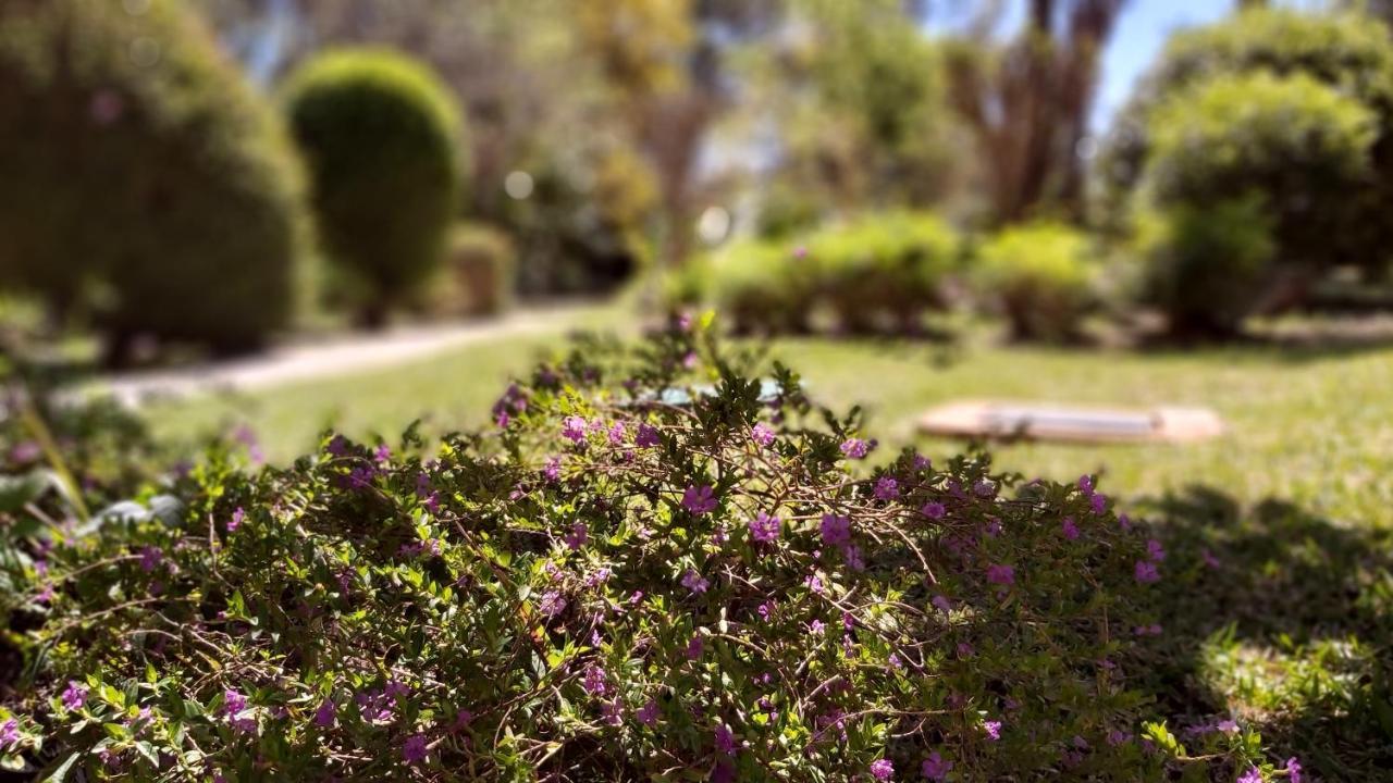 Del Parque Flats Le Village Golf