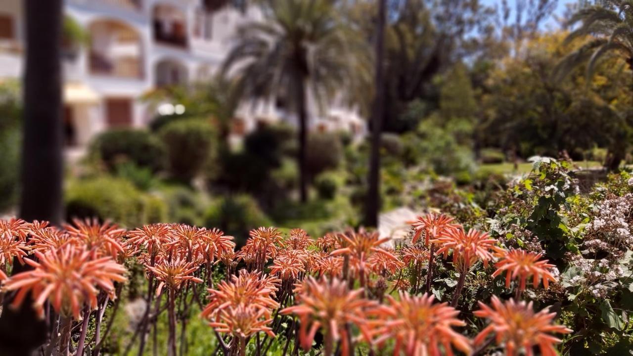 Apartment Del Parque Flats Le Village Golf