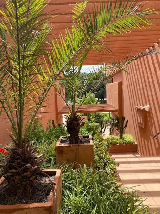 Apartamento Cabopino Golf And Only Adults