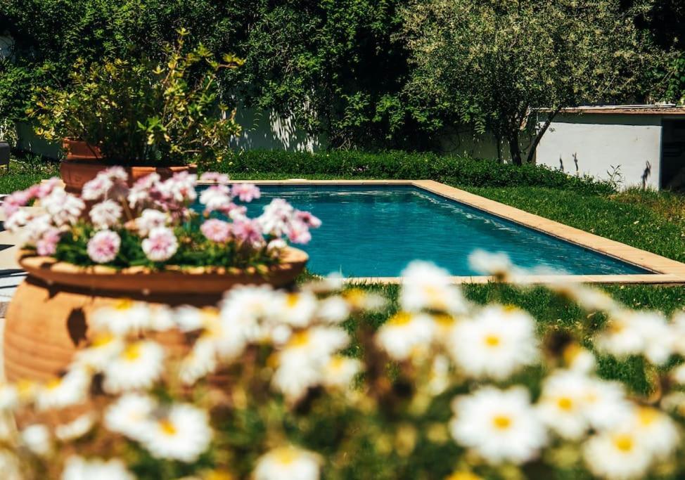 Residencia Ardilla Villa