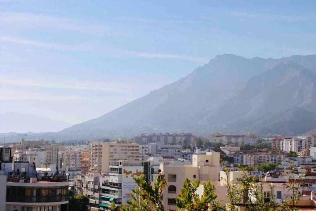 Large Modern Beach Front Apartment, Rooftop Pool!! Apartment *