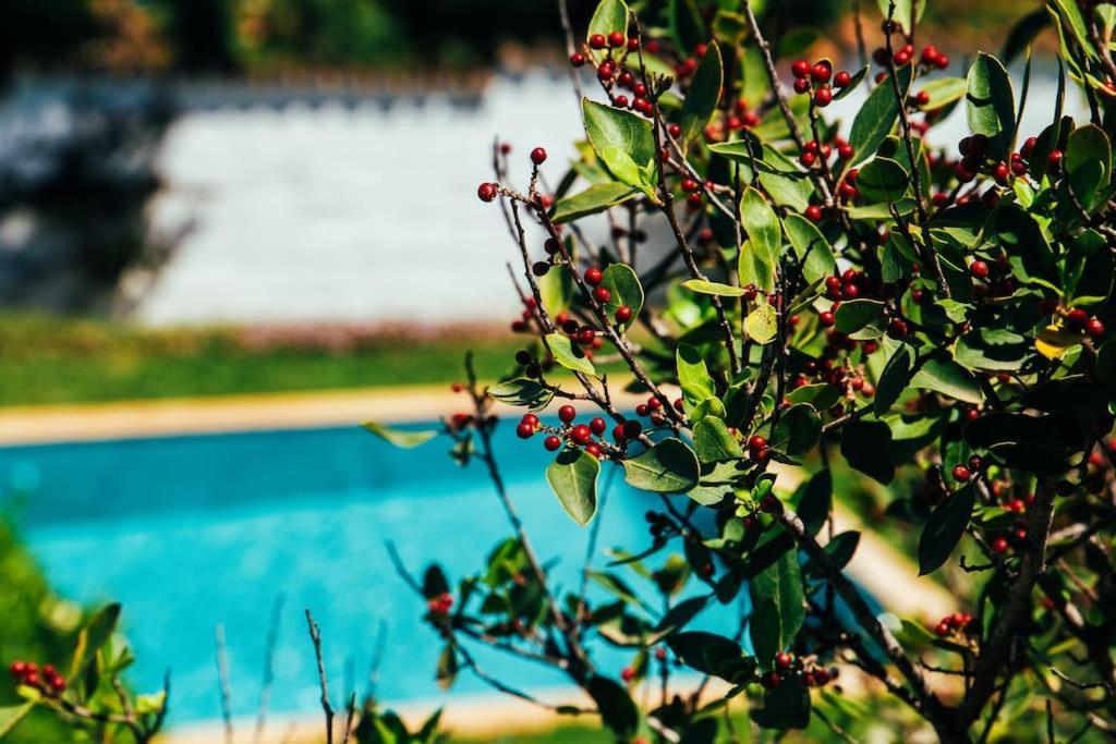 Residencia Ardilla Villa