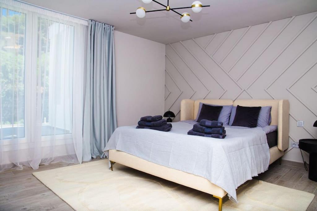Residencia Ardilla Villa