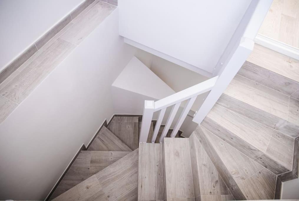 Residencia Ardilla