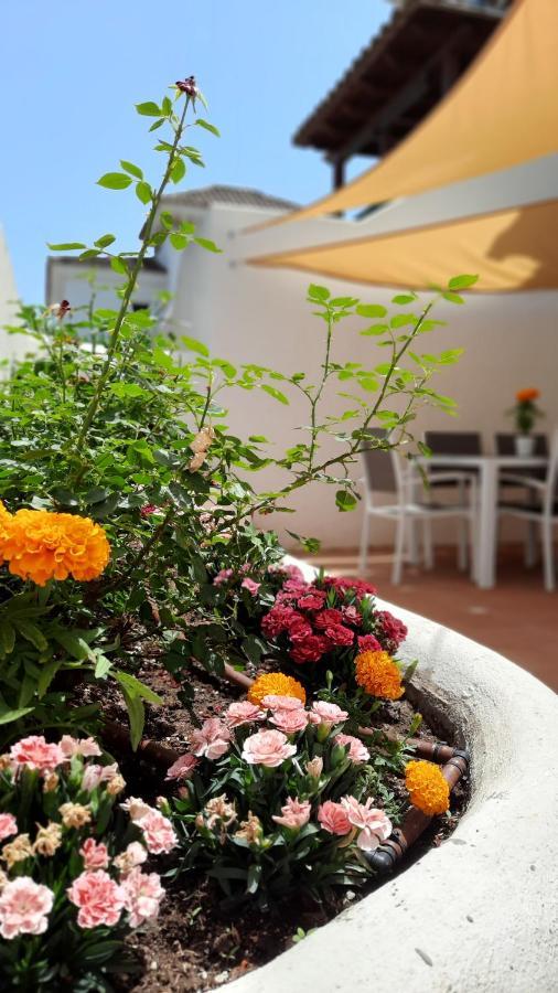 Luxury Delmare Marbella