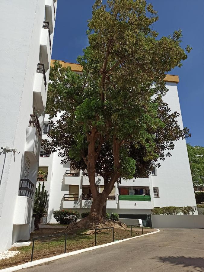 Reformado Luminoso Acogedor Marbella