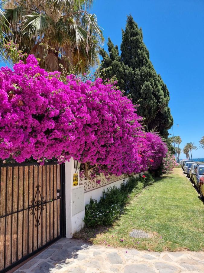 San Pedro De Alcántara 5*