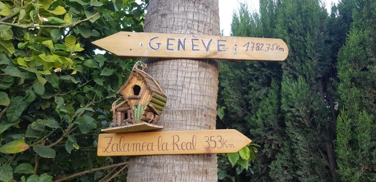 Apartment Con Jardin Y Piscina Pet Friendly