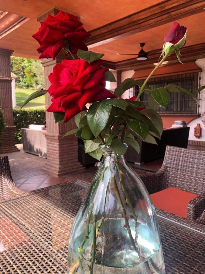 Villa Authentic Andalucia Marbella