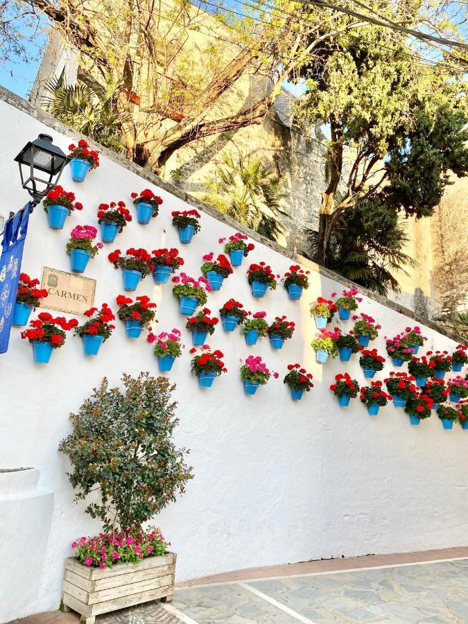 Apartment Old Town-300m From The
