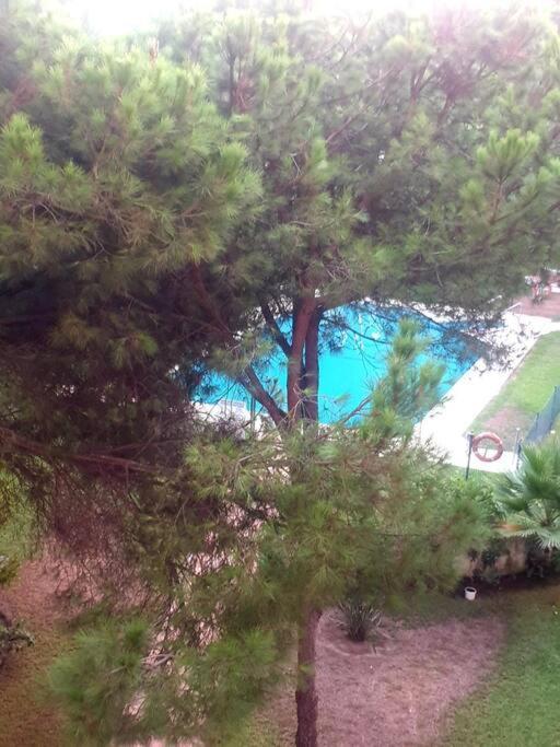 Apartment Precioso Estudio Con Piscina A 200m Del Mar Marbella