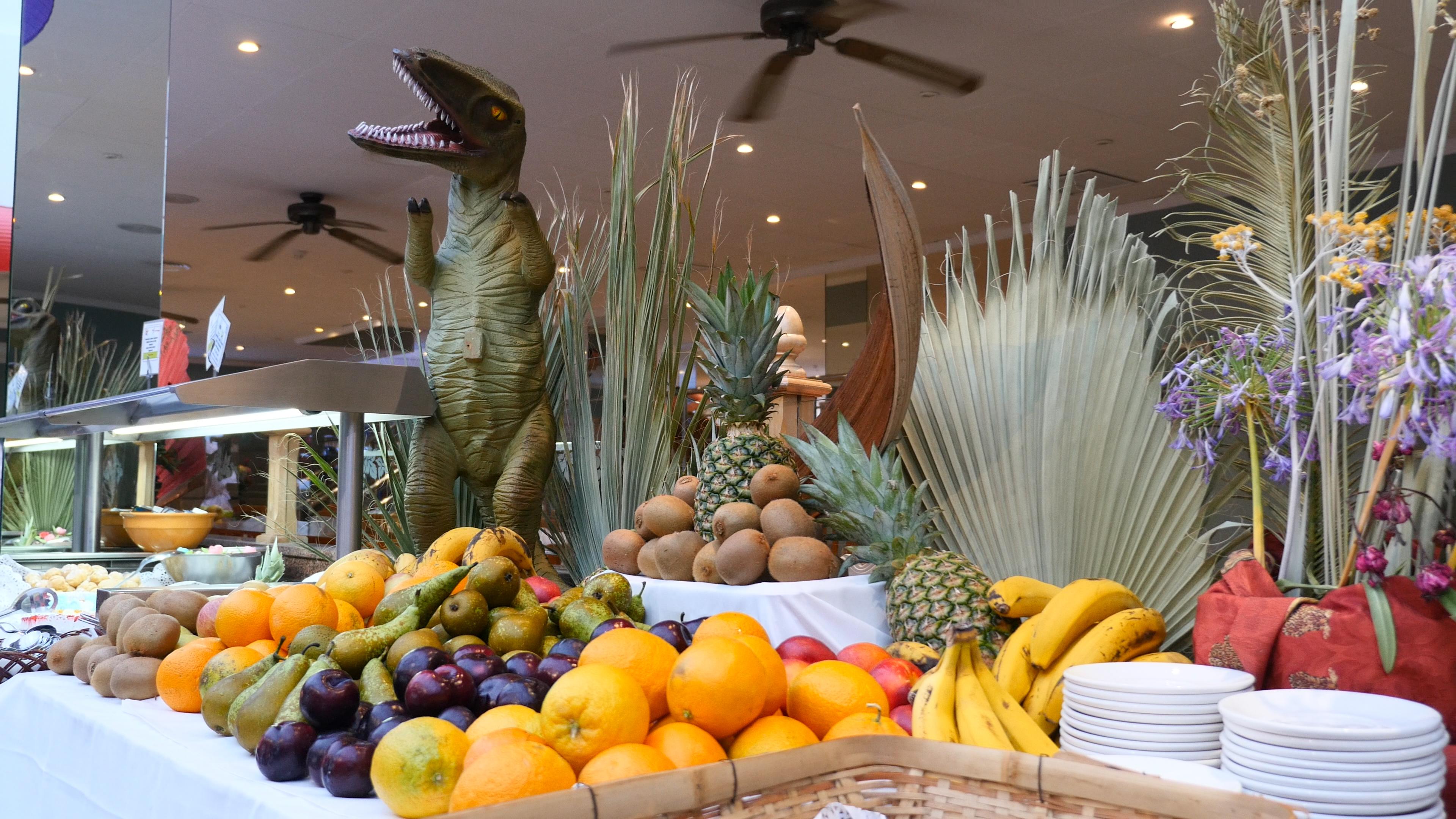 Diverhotel Dino