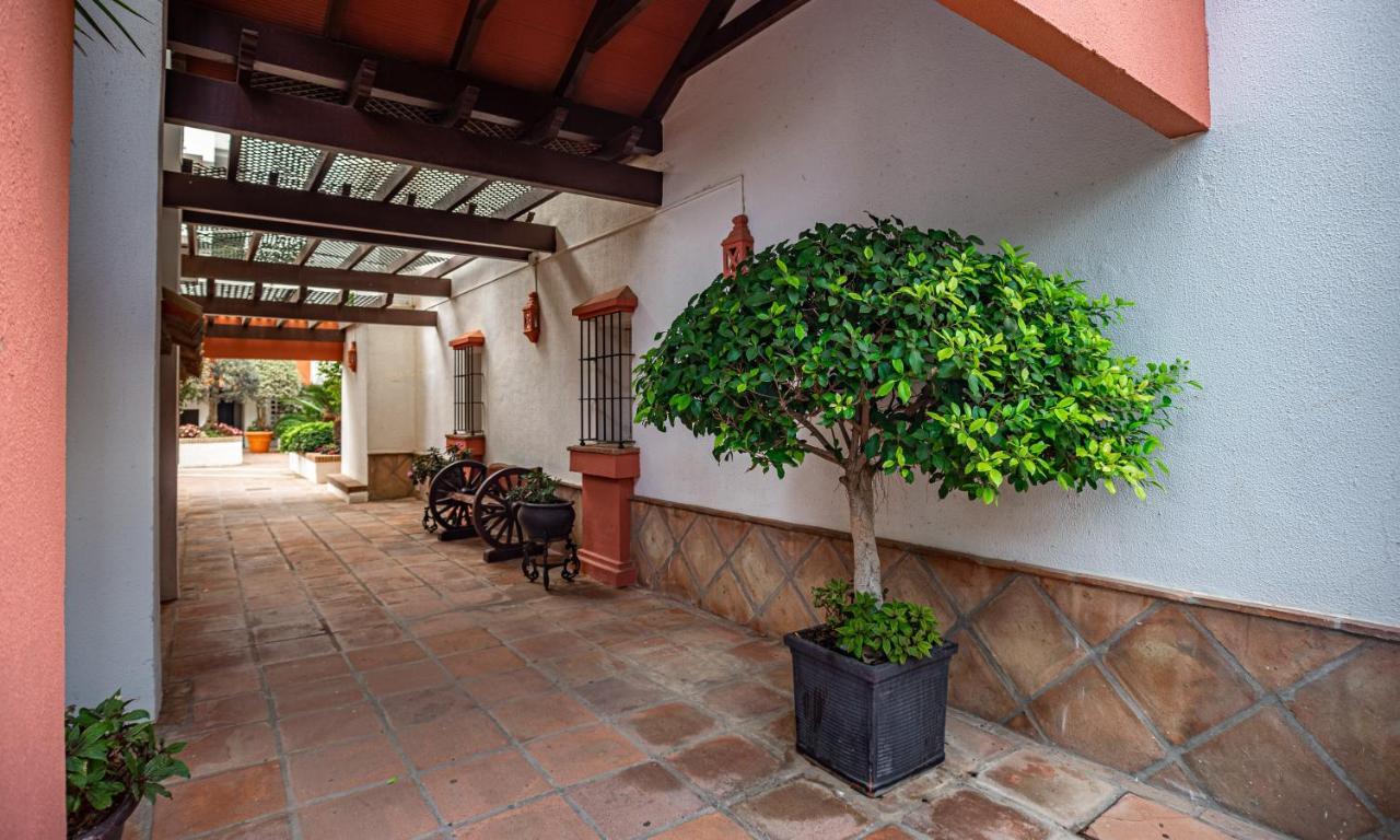Modern - 2 Bedrooms, Beachside - Puerto Banus Apartment *