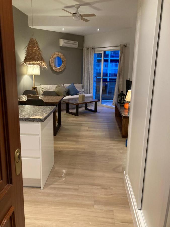 Skol 420c Fantastico 1 Primera Linea De Playa Marbella