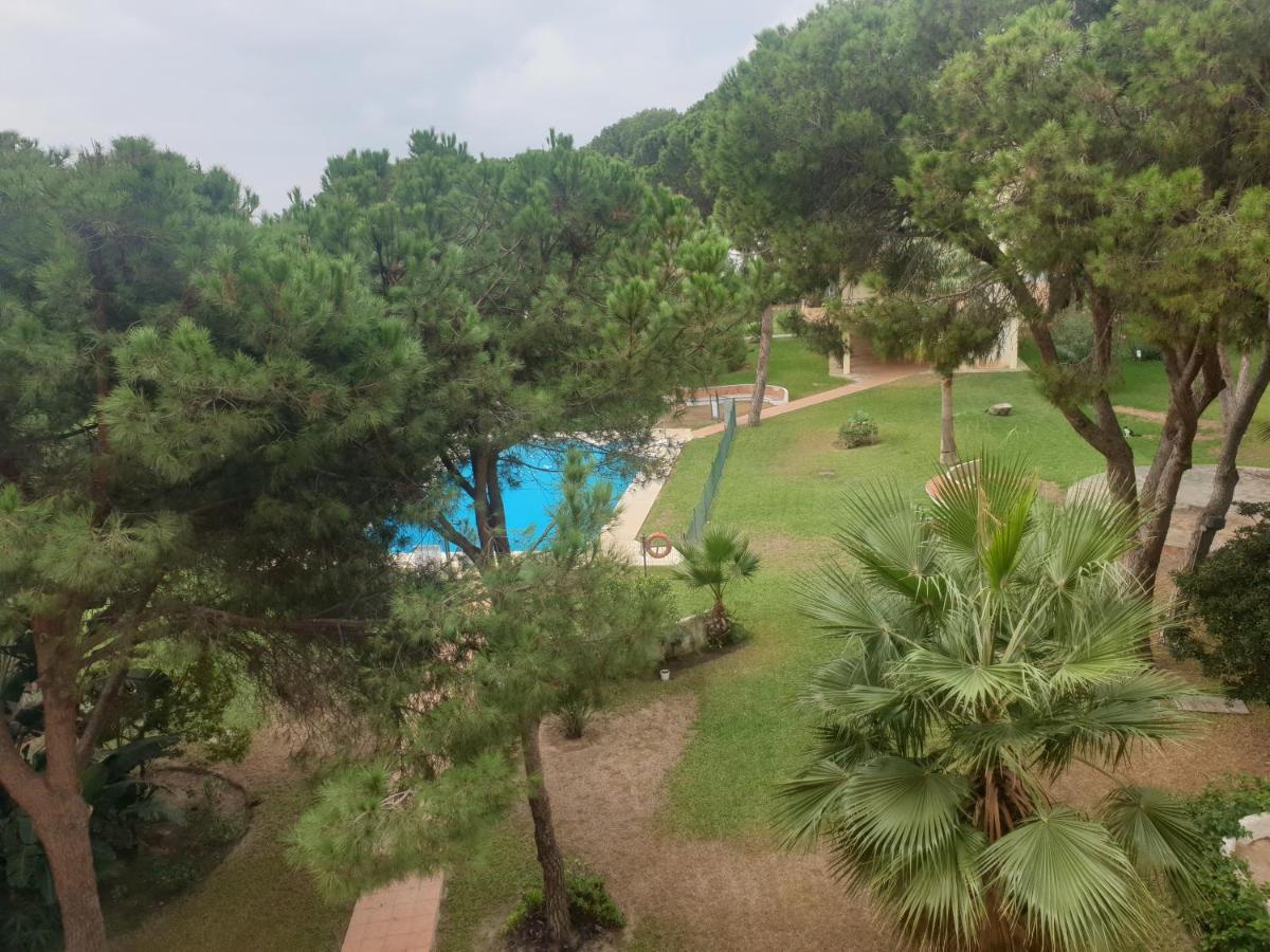 Precioso Estudio Con Piscina A 200m Del Mar *