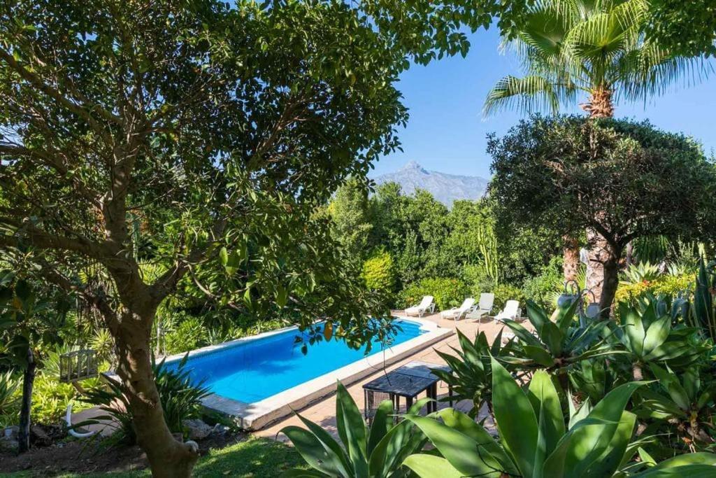 Spacious 10guest In Puerto Banus With Pool Villa Marbella