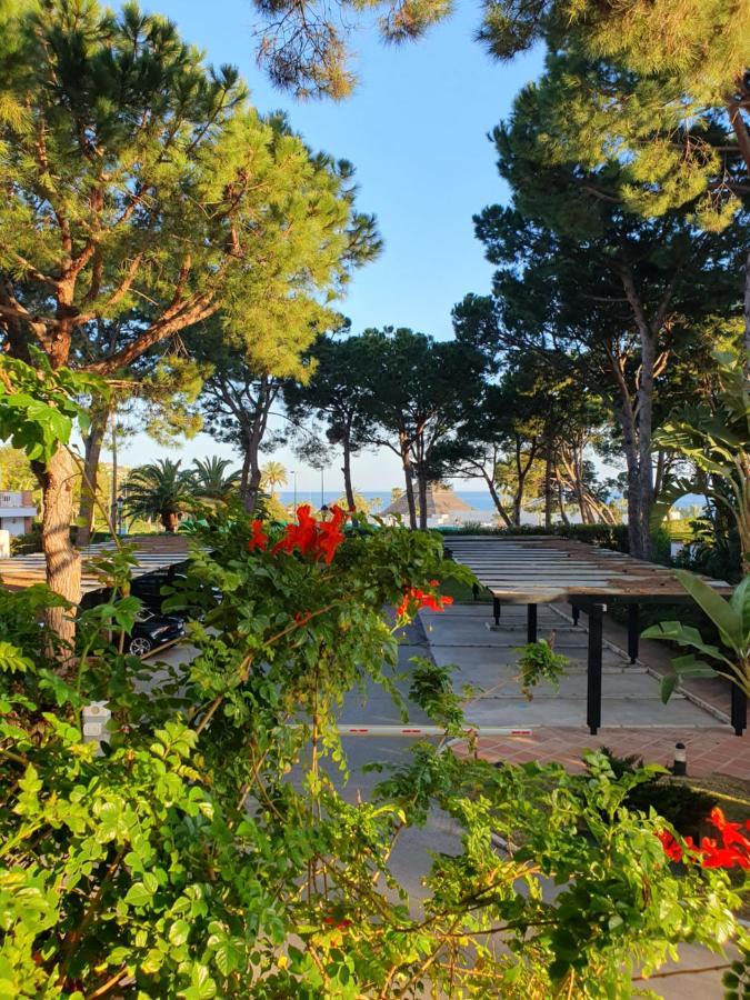 Jardines De Golondrinas Elviria By The Nikki Apartamento *