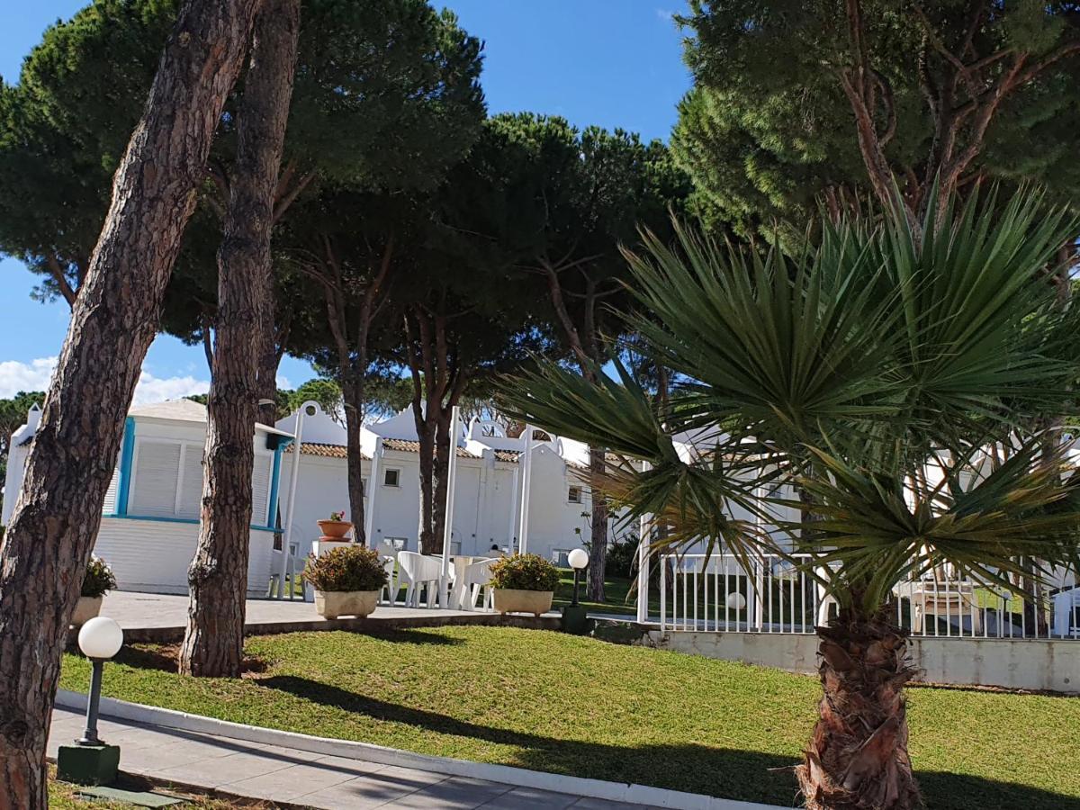 Beautiful House In Elviria, With 2 Bedrooms, 2 Swimming Pools, Sauna, Jacuzzi, Gym, Wifi