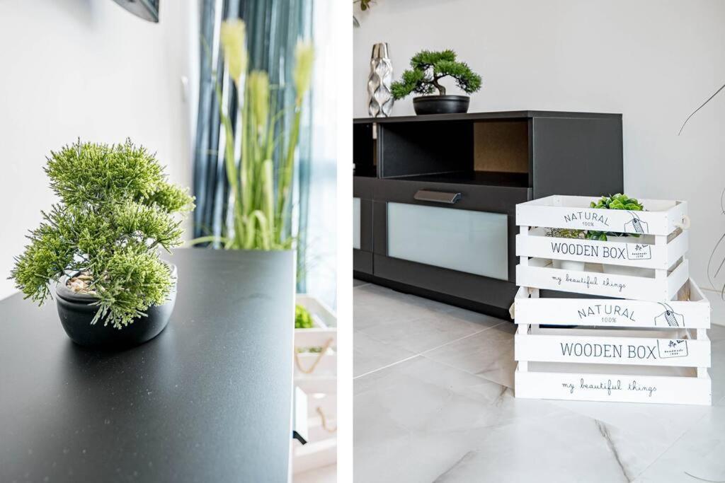 Elfaro Apartment *