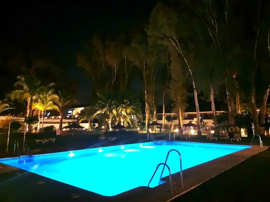 Coqueto Apartamento Puerto Banus