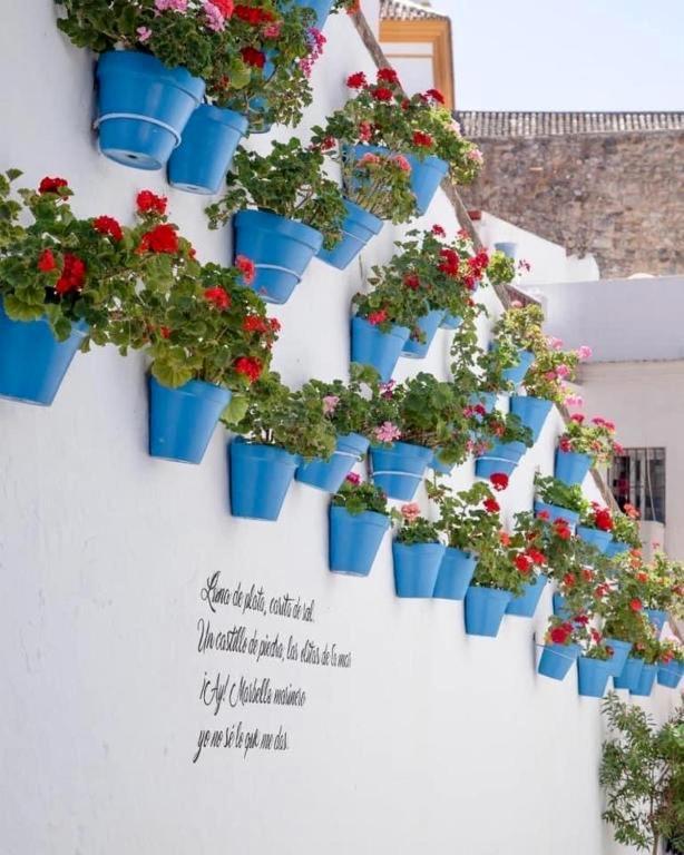 Jardines Del Mar,penthouse Elisabeth Apartment