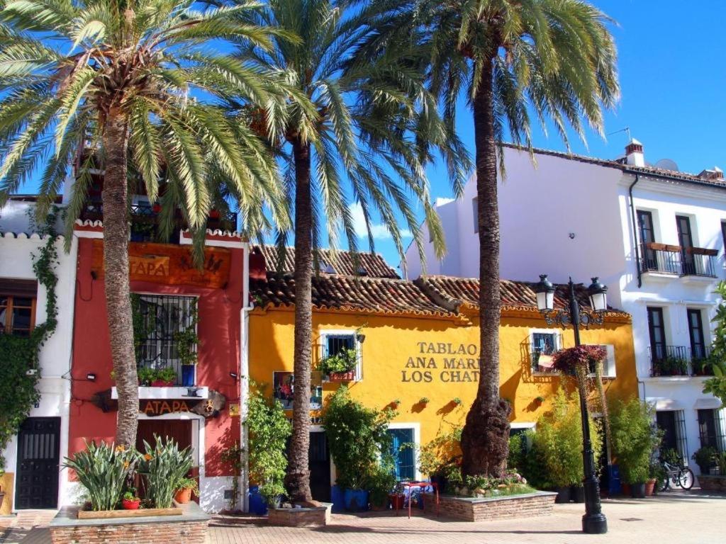 Jardines Del Mar ,casa Apolonia *